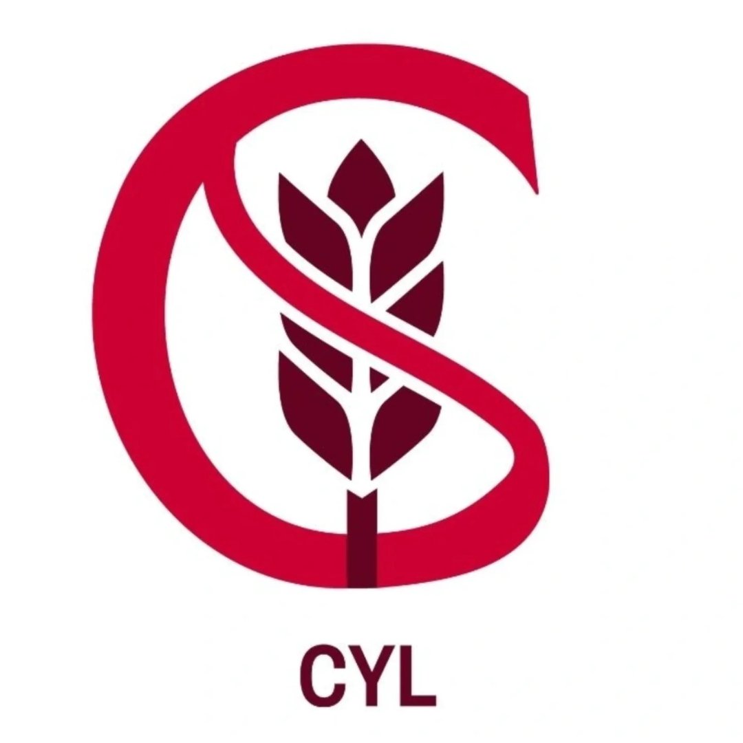 Logotipo de ACECALE Celiacos CyL
